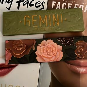 Melt Gemini palette 🎨 ♊️ 💚